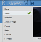 Website Baker Template